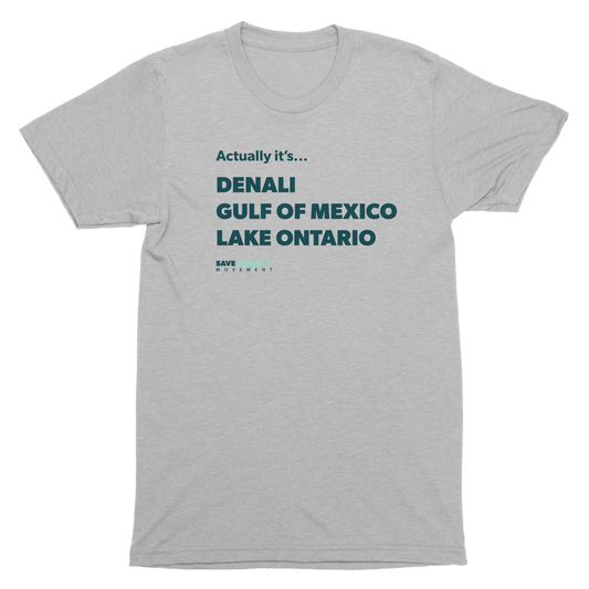 Actually It's... T-Shirt
