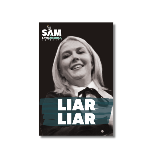 Liar Liar Sticker